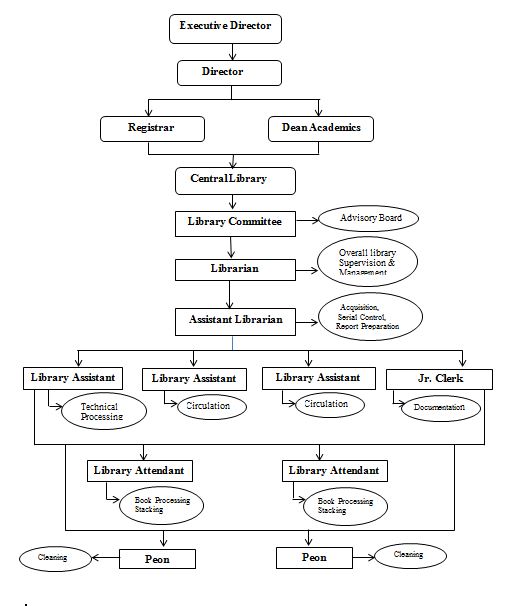 Library Organizational Chart