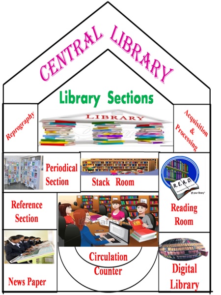 Library Sections