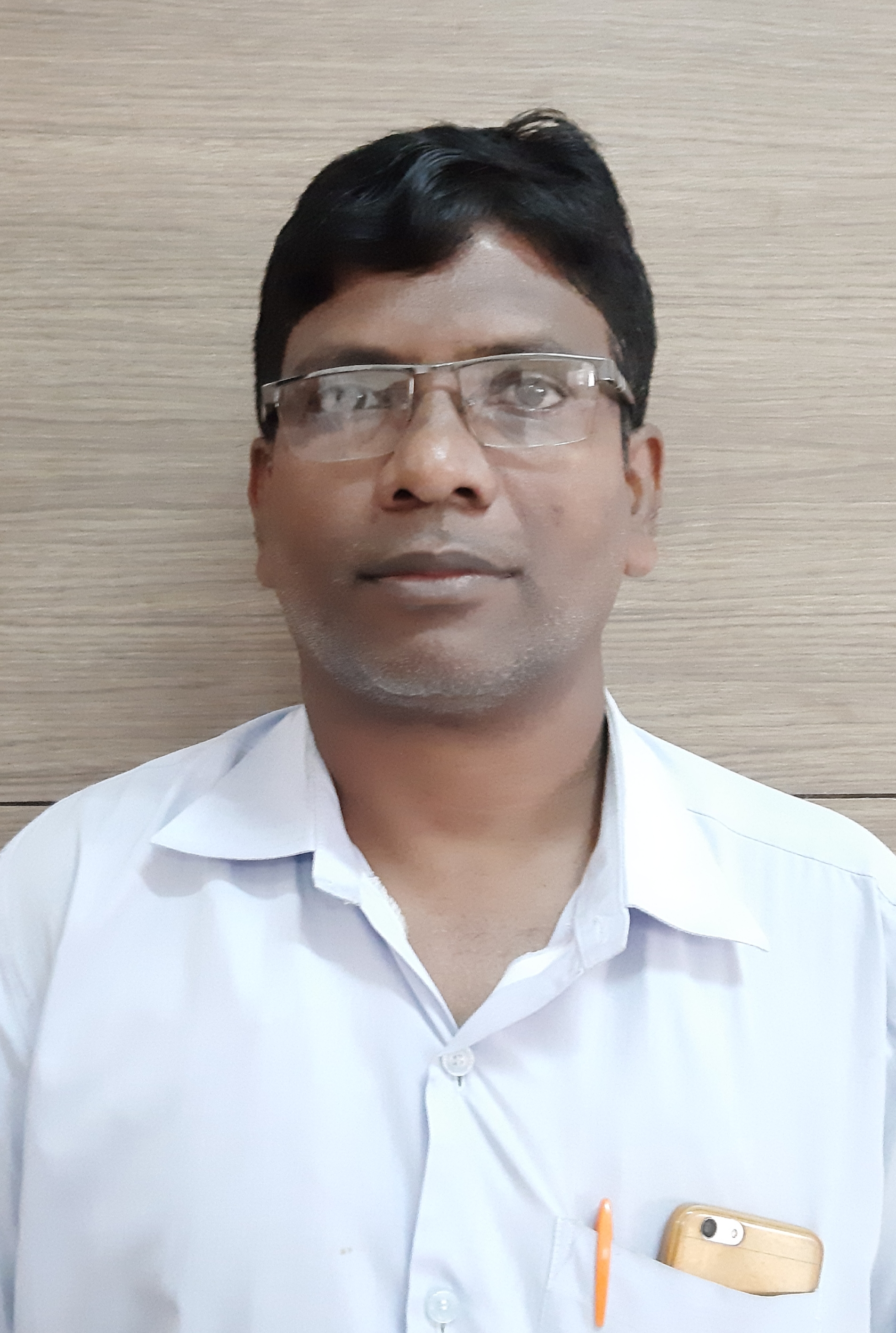 Mr. Pradip L. Patil